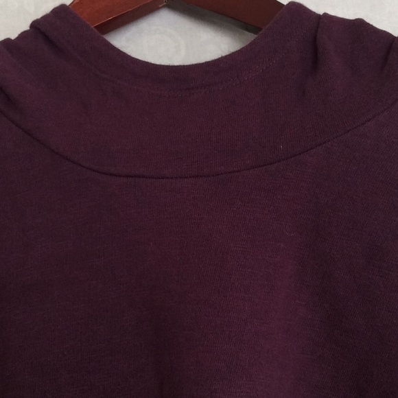 Wine-colored Columbia Hooded Sweatshirt - Picture 4 of 5